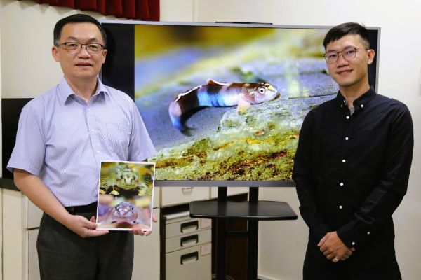 新種魚命名致敬原民紋面文化　中山大學發現「紋面韌鰕虎」1